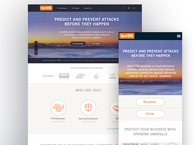 Homepage Redesign clean icon responsive webdesign