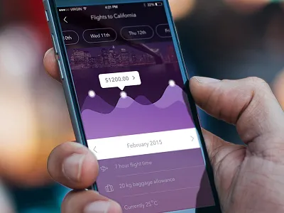 Flight App app app design data design flight graph icon icons interface ios ui ux