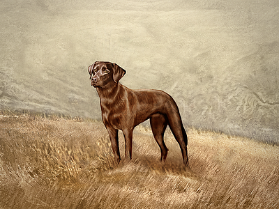 Choco Lab chocolate digital dog lab packaging painting tablet whiskey