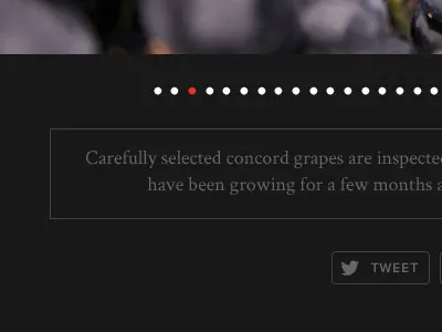 Fantesca Photo Gallery Detail caption dark gallery navigation photo photos reversed sharing social type winery