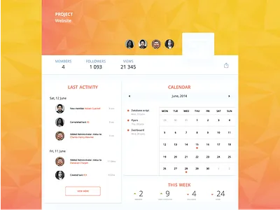 Overview activity calendar follower members overview project stats website