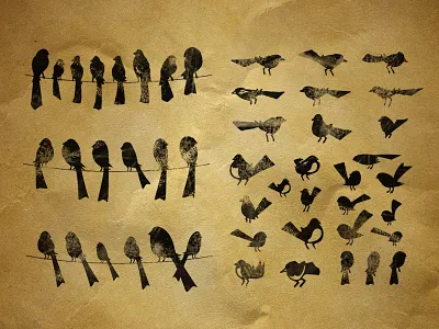 Three Little Birds Brand Exploration brand graphic design identity logo visual design