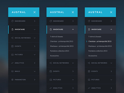 Austral - Menu dashboard