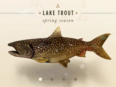 Seasonal Lake Trout app illustration nature responsive ui watercolor web design