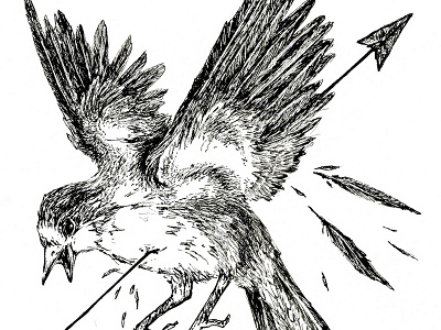 Birds of a Feather arrow bird black and white feather handlettering illustration quote