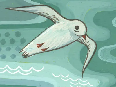 tiny seagull painting bird gouache hand painted illustration miniature nature painting seagull