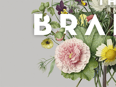Meraki albumcover bouquet brahms flowers
