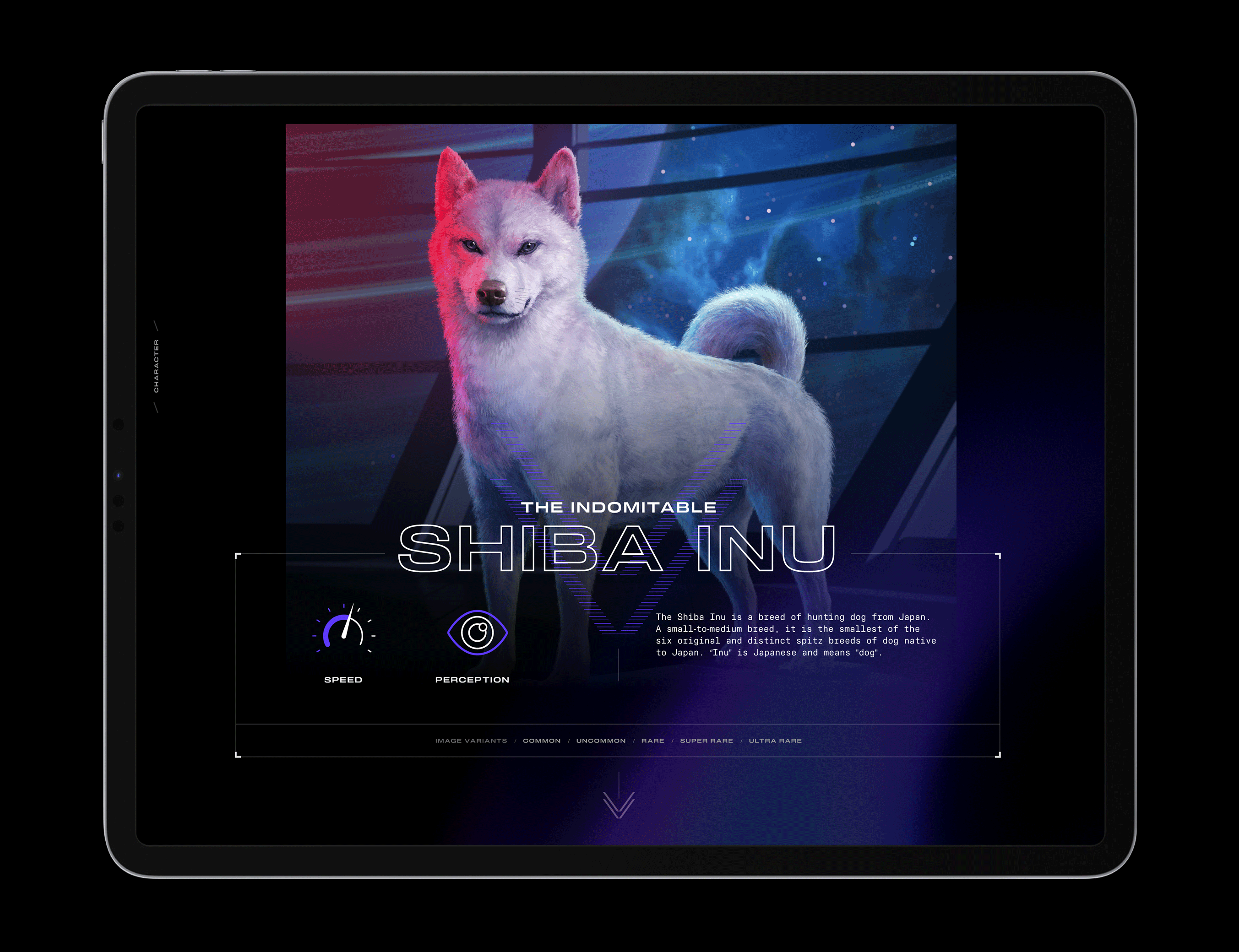 Rocket Dogs - Branding - Illustrations art direction branding design gaming graphic design illustration logo rocket dogs ui visual identity