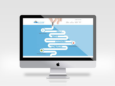 ALICAM Microsite icons microsite mobile vector web design