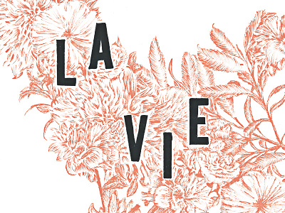 la vie en rose botanical drawing editorial flower flowers la vie en rose micron nature pen rose typography