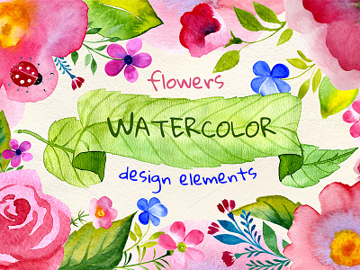 Watercolor Design design elements watercolor