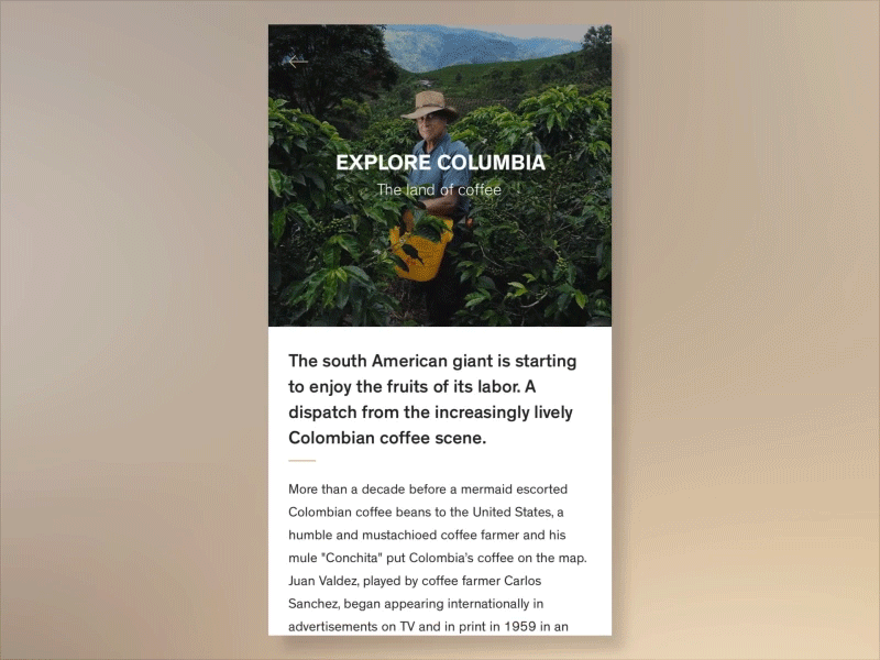 Article ae after effects article black coffee columbia gif gold news shops tips white
