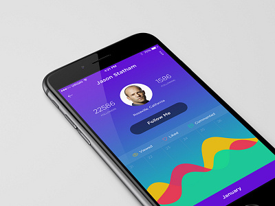 Dribbblish 6 app chart graph ios8 iphone profile ui ux