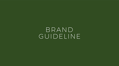 Diamond Blend Tea - Brand Guidelines & Identity visual identity