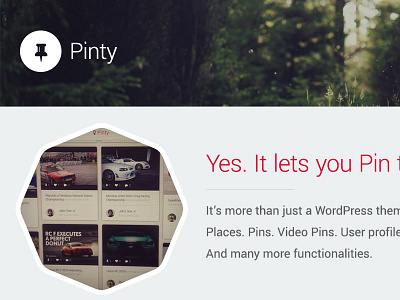 Pinty Description blog image fetch masonry material design pin pins pinterest redux responsive social theme wordpress