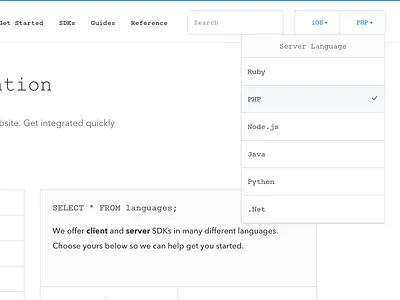 Docs Homepage Refresh braintree css documentation html