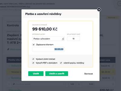 Vetfox app – Visit view (payment) application flat form gui interface modal popup ui veterinary vetfox