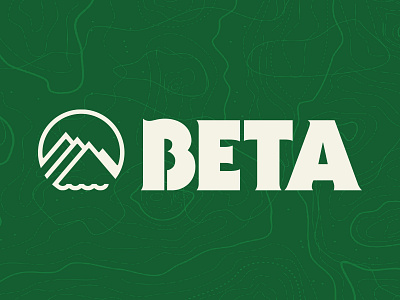 BETA Outfitters Logo and Icon branding graphic design logo typography