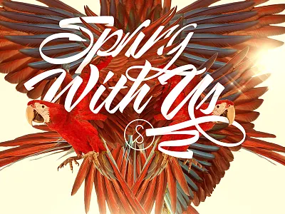 Swimming Pool Newsletter Header, Spring Edition design illustration swimmingpool