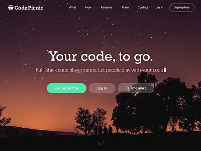 CodePicnic design flat landing page layout minimal minimalistic one page ui website