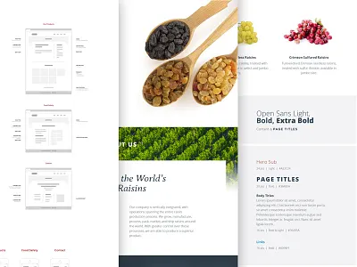 A new process buttons clean fonts functionality grid guide hundred10 prototyping raisins responsive simple wireframes