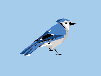 Jay2 01