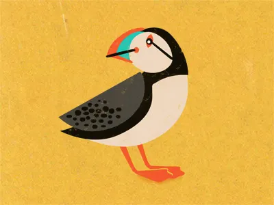 Puffin animal bird cute illustration puffin yellow