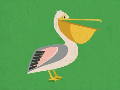 Pelican animal bird green illustration pelican texture