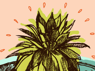 Teacup Cactus cactus cup drawing illustration photoshop succulent tea visual journalism