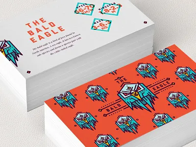 Bald Eagle Info Card animals brand card clean colour icons info layout pattern