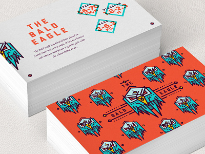 Bald Eagle Info Card animals brand card clean colour icons info layout pattern