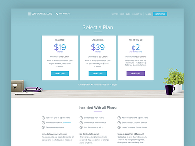 Conference Calling - Pricing balkan brothers clean flat pricing pricing page ui ux ux design web design website