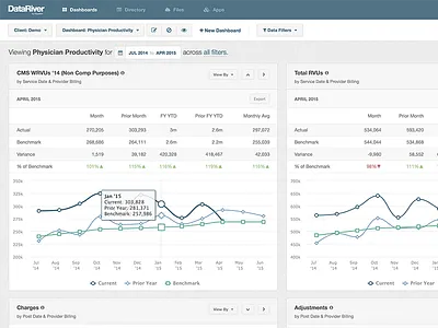 Physician Analyzer Dashboard - DataRiver analytics charts dashboard data healthcare