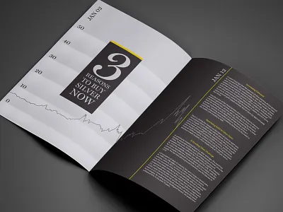 Silver Stock Brochure book brochure graph print printing silver stock