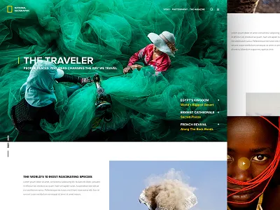 National Geographic Splash Page concept nationalgeographic page simple splashpage ui web webdesign website