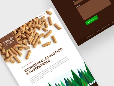 Traiguén Energy UI design landingpage layout navigation pellet pine ui web website