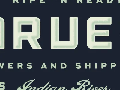 Type & Texture bevel blue cook green matthew outage retro script texture vintage