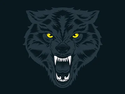 Midnight Wolf design graphic graphic tee illustration midnight blues t shirt design vector wolf