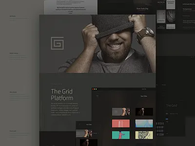 The Grid: Platform ai beanie chrome platform the grid ui websites