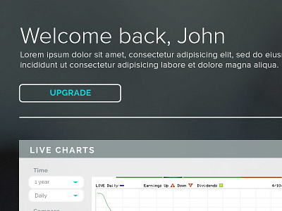 Esignal Dashboard V2 branding clean dashboard design landing lead generation risk stock trading ui ux