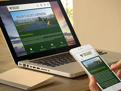 High Valley branding design ecommerce ginseng graphic iphone mobile responsive website