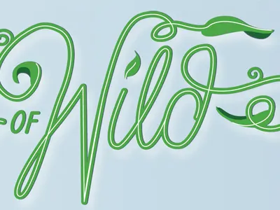 detail from a dead project lettering