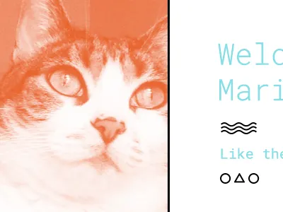 About Me Page about me cats css google html roboto mono