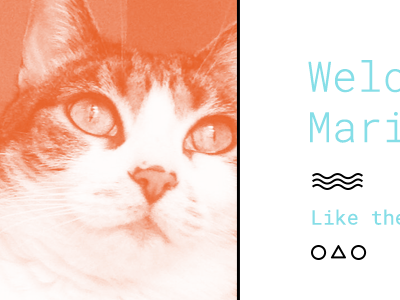 About Me Page about me cats css google html roboto mono