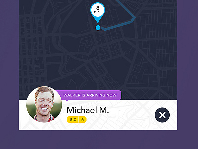 Dog Walkers app dark flat ios pets uber ui ux walks