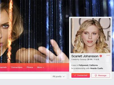 Gotchosen Member Profile interface profile