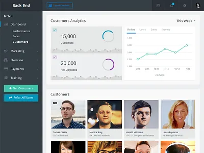 Bak-End Dashboard analytics back end dashboard flat graph metrics ui ux web