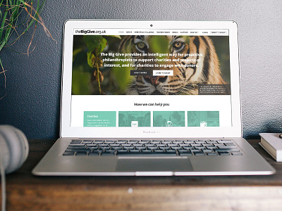 The Big Give blue and yellow design charity flat handsup homepage photo ui ux web website