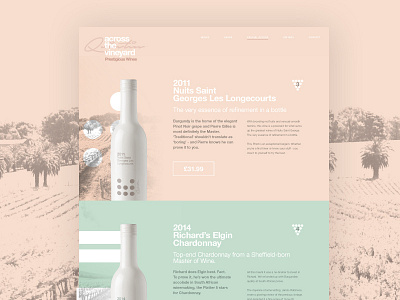 Product page - Introduction of colour branding color identity interface landingpage layout ui ux web website wine
