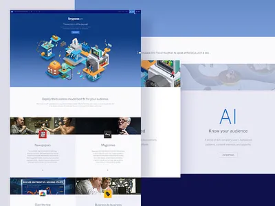 Tinypass.com analytics color data dataviz design illustration interface startup ui